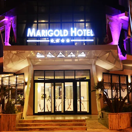 Marigold Hotel-3